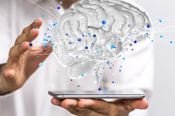 1平方千米的生活实例有哪些？