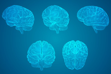 clap小学英语几年级学的单词