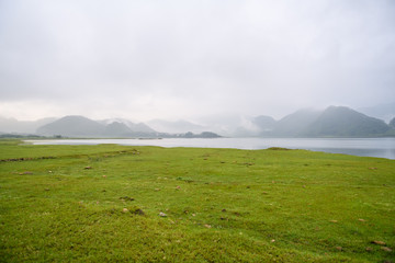 什么比猎豹的速度更快课文的多音字和主要内容