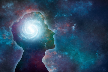 什么比猎豹的速度更快课文的多音字和主要内容