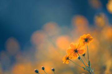 思想政治教育哲学思考