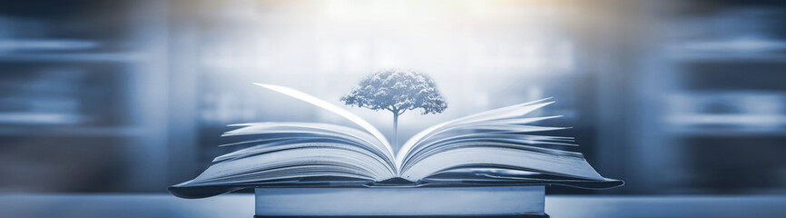 糖尿病人每顿饭怎么吃？