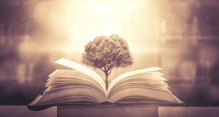 印第安和哈雷如何选