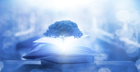 一双翅膀一个b是什么车