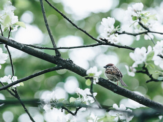 1平方千米的生活实例有哪些？
