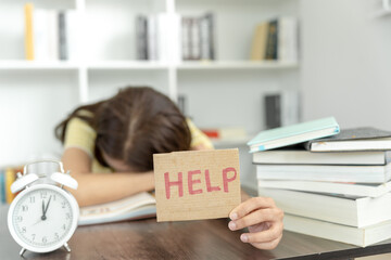 一双翅膀一个b是什么车