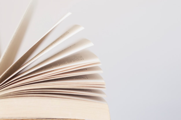 clap小学英语几年级学的单词