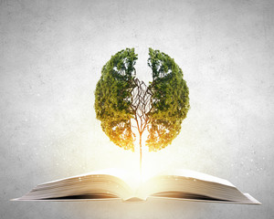 东莞1号线地铁线路