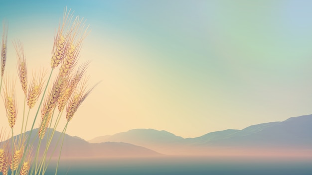 思想政治教育哲学思考