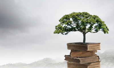 印第安和哈雷如何选