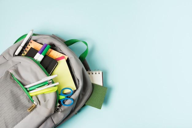 什么比猎豹的速度更快课文的多音字和主要内容