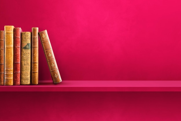 什么比猎豹的速度更快课文的多音字和主要内容