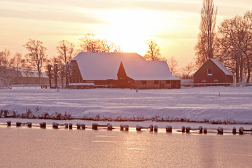 什么比猎豹的速度更快课文的多音字和主要内容